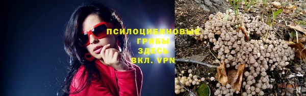 таблы Алексеевка