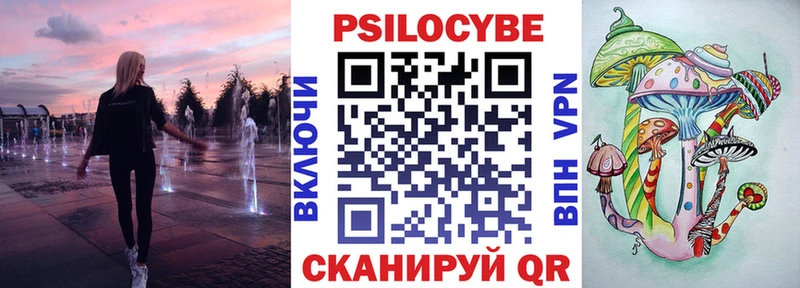 где найти   Гаврилов Посад  Псилоцибиновые грибы Psilocybe 